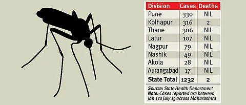 Over 1,231 dengue cases in State; Pune tops list