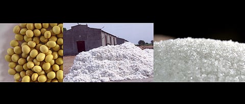 Soyabean, cotton, sugar see drop in futures market rates