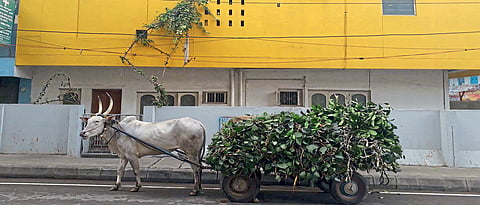 Making space for Art