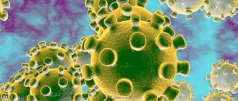 Image for representational purpose