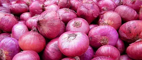 Pune lockdown 4.0: Onion prices leave farmers in tears