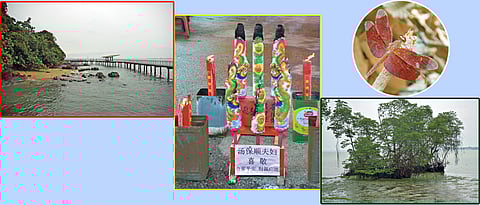 An outing in wilderness