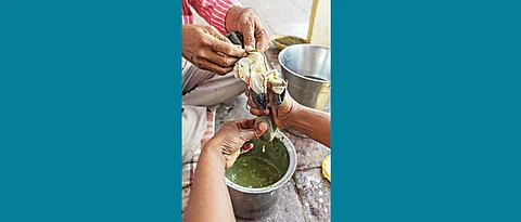 The Rang and the Bhang