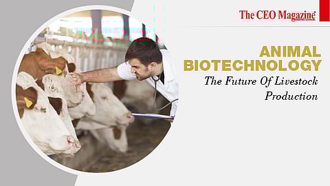 Animal Biotechnology_ The Future Of Livestock Production