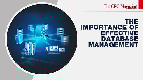 The Importance of Effective Database Management