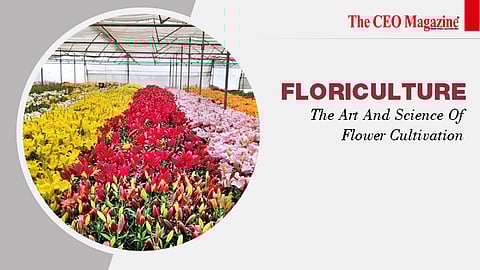 Floriculture: The Art And Science Of Flower Cultivation