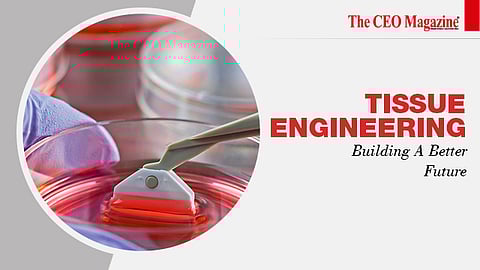 Tissue Engineering