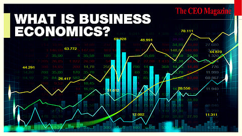 What is Business Economics?