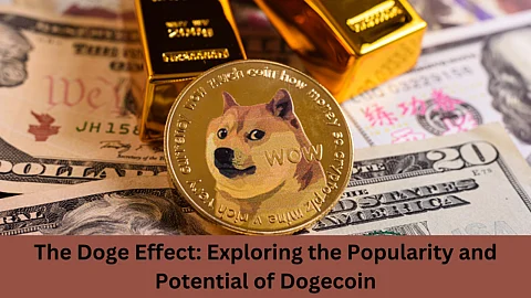 The Doge Effect Exploring the Popularity and Potential of Dogecoin