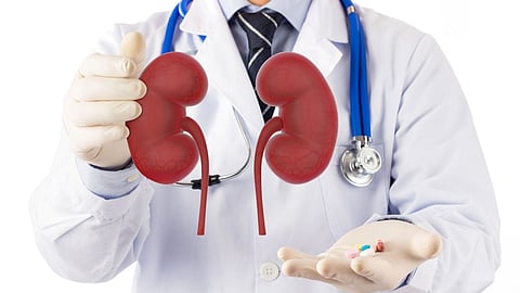 How to keep kidney healthy