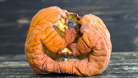 Brain Rot: A Growing Concern in the Digital Age