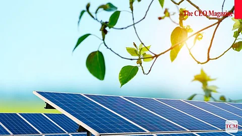 Top 10 Solar Energy Companies in New Zealand
