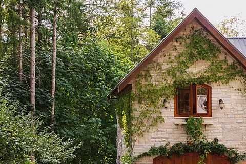 Vacation Rentals vs. Long-Term Leasing: Which Is More Profitable for Homeowners?