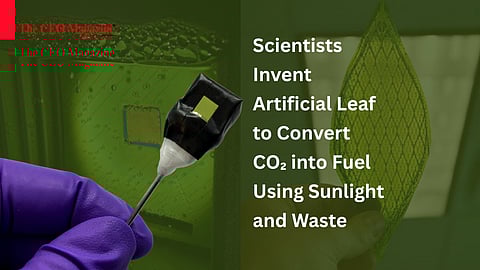 Scientists Invent Artificial Leaf to Convert CO₂ into Fuel Using Sunlight and Waste