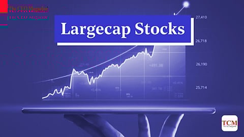 4 large-cap stocks with the potential to grow 14–25% over the next year