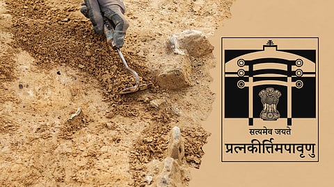 Representative Image Only