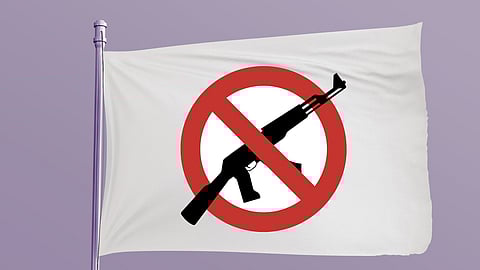 Representative Image Only