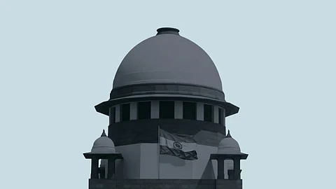 An end of the week roundup: No stay on pleas challenging rounding up of stray dogs in Delhi NCR as Supreme Court reserves order
