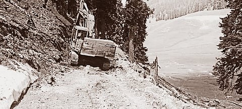 Representative Image Only