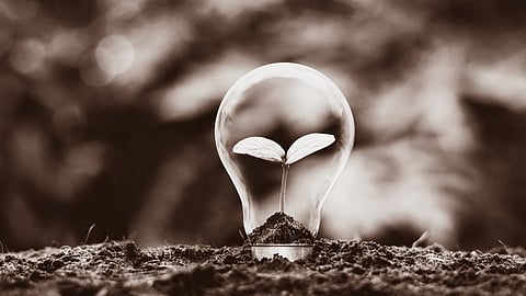 Our environmental futures: A weekly round-up on Constitution First