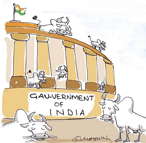 Ban on trade of cattle for slaughter, does the Centre have the power?