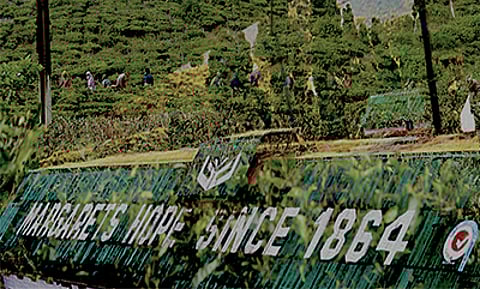 In Margaret’s Hope, the story of Darjeeling’s hidden violence is one that cannot be told