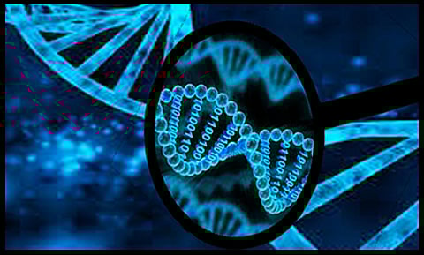 Why the DNA Bill 2018 – a tangled mess of unresolved concerns – is a privacy and security nightmare