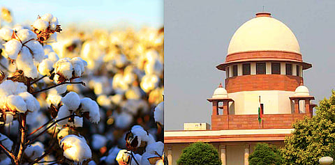 Who moved my seed? Decoding the Monsanto dispute