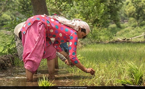 A Nation for Farmers : Part II