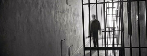 A Cartoonist’s Ordeal