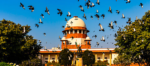 SC sends notice to states in contempt petition alleging disobedience of court directions on recruitment to state pollution control boards