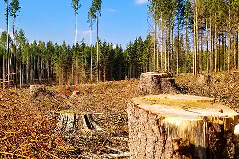 Draft EIA Notification 2020: Whose interests does it secure?