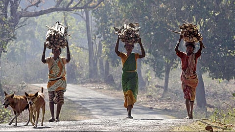 Reinventing the Constitution on Science and Democracy