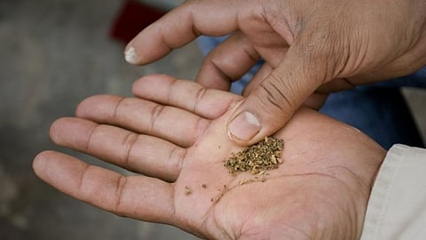 Image Courtesy: social media