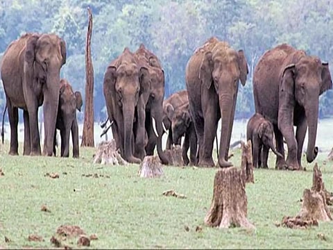 Courtesy: Times of India