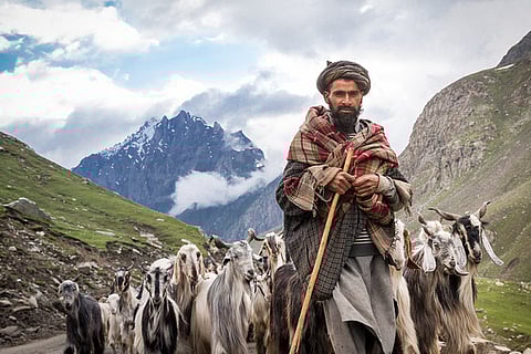 Photo Credits: Arif Hussein