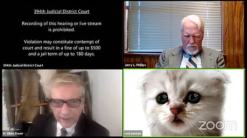 “I am Not a Cat,” Texas Lawyer to a Judge during Virtual Hearing after Zoom Filter Mishap