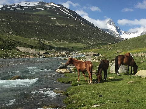 Shali Ganga river around Ashtar valley Pir Panjaal mountain range. Picture Courtesy: Raja Muzaffar Bhat