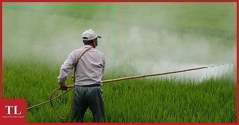 Study Says 64% of World’s Farmland at Risk of Pesticide Pollution