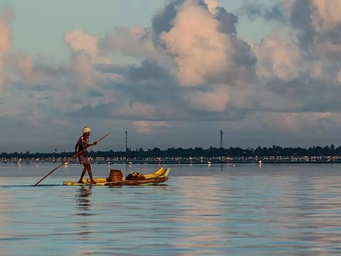 Picture Credit: Yuvan Aves