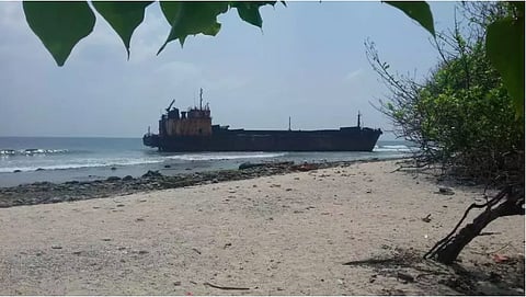 Photo by Ron Bastian.