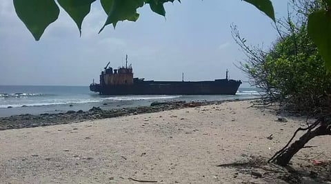 Photo by Ron Bastian