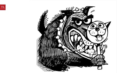 A Comfortable Kennel