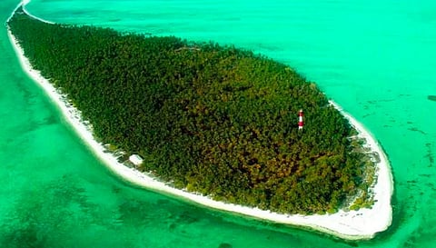 #World Environment Day: Lakshadweep Happenings — The Big Plot