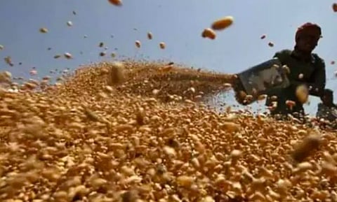 Centre Withholds Funds to Punjab for Current Wheat Procurement Season, Farmers to be Most Affected