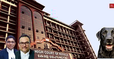 Dog’s brutal murder galvanizes Kerala HC to suo moto examine government inaction on protection of animal rights