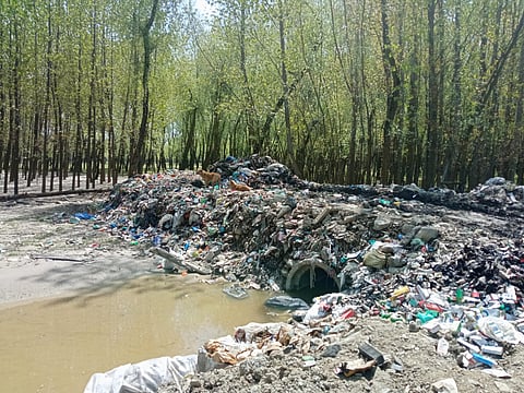 When wetlands become wastelands in J&K