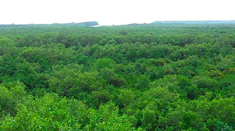 PM Invoked Gandhi, Centre Sought Dilution of Forest Act on Oct 2