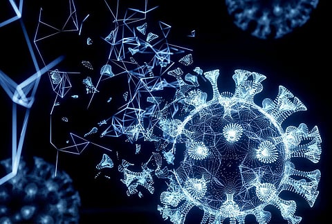 Representative Image Only