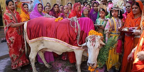 Photo Credit: AFP Photo/STR